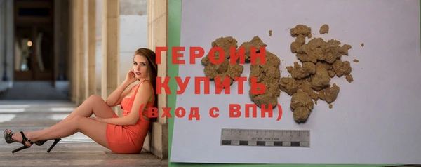 индика Инта