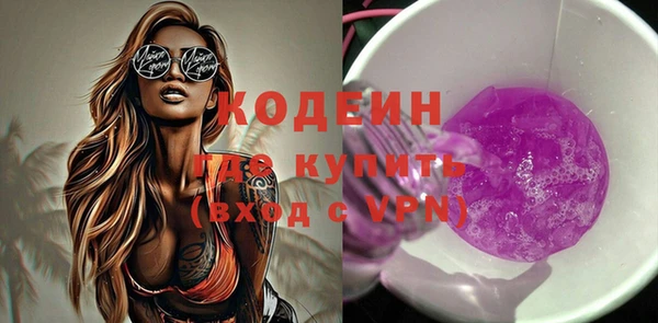 индика Инта