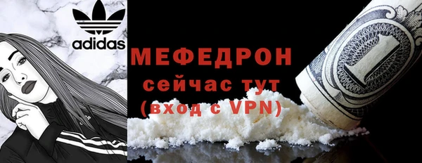 индика Инта