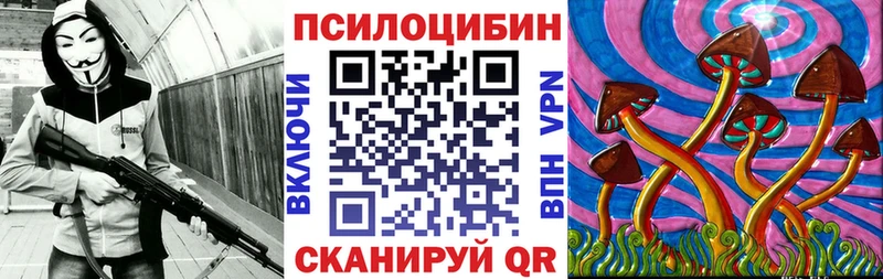 Купить  Калач-на-Дону  Галлюциногенные грибы Psilocybine cubensis 